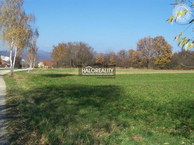 Reality Predaj, pozemok pre rodinný dom   7430 m2 Oslany - EXKLUZÍVNE HALO REALITY