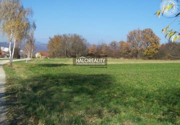 Reality Predaj, pozemok pre rodinný dom   7430 m2 Oslany - EXKLUZÍVNE HALO REALITY