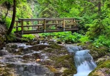 Reality Pozemok v malebnej obci Trnava pri Laborci