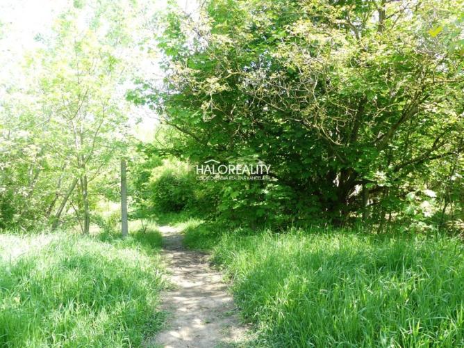 Reality Predaj, pozemok   5834 m2 Trnava, zaujímavý investičný pozemok - EXKLUZÍVNE HALO REALITY