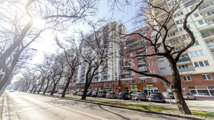 Reality Parkovacie státie v podzemnej garáži, JÉGÉHO ALEJ