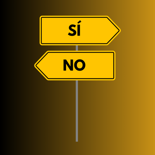 Cada vez que digo no, estoy diciendo millones de síes