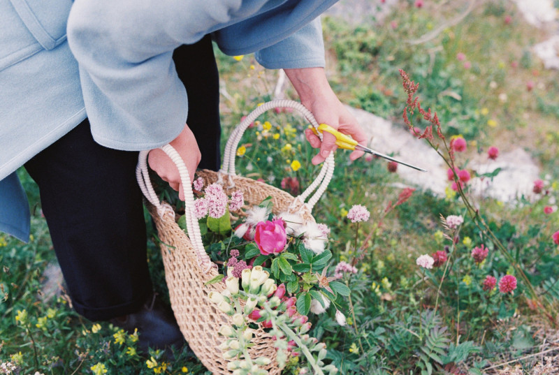 Bilde av blomster