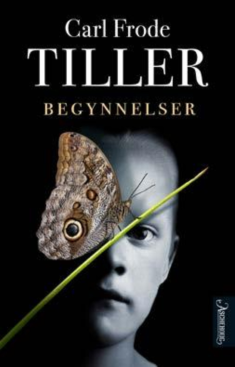 Bilde av Carl Frode Tillers roman "Begynnelser"