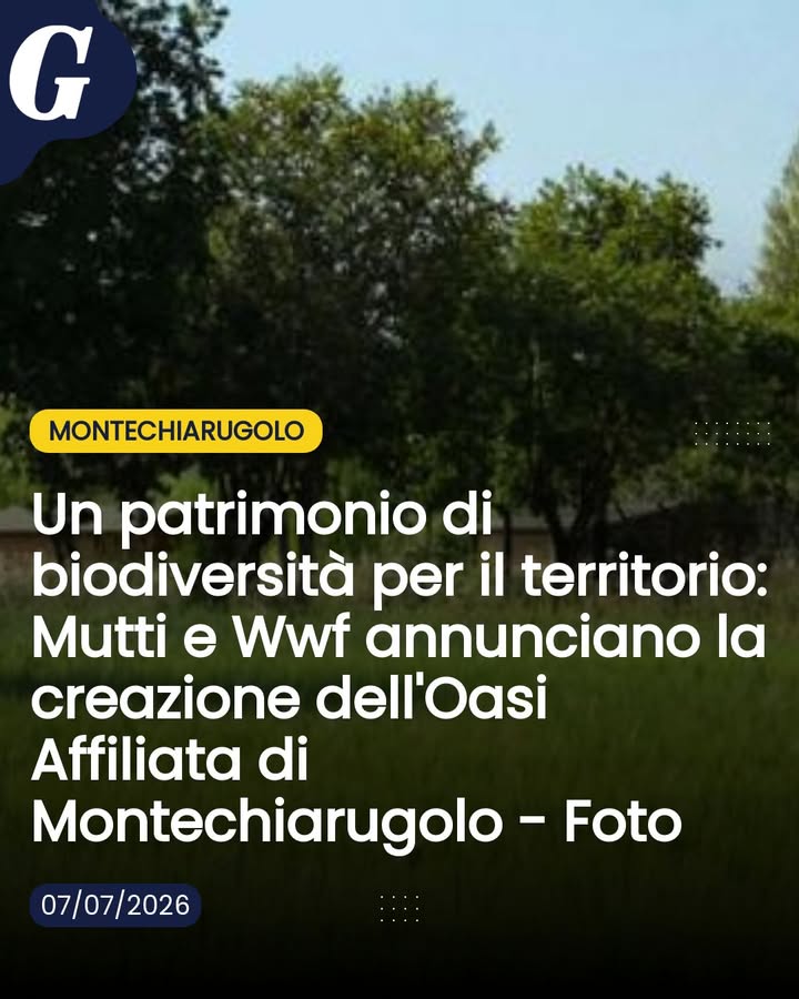 Mutti trasforma i terreni di Montechiarugolo in un’oasi affiliata WWF per ripristinare habitat, incrementare la biodiver...