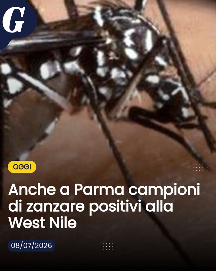 Precoce ed estesa circolazione del virus in Emilia-Romagna: in sei province su nove 

L'articolo completo è disponibile ...