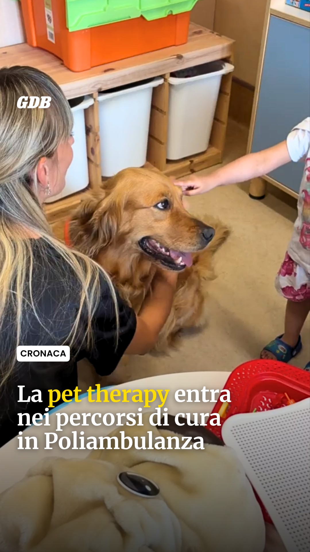🐾 La pet therapy entra nei percorsi di cura in Poliambulanza 

Un percorso triennale di interventi assistiti con gli ani...