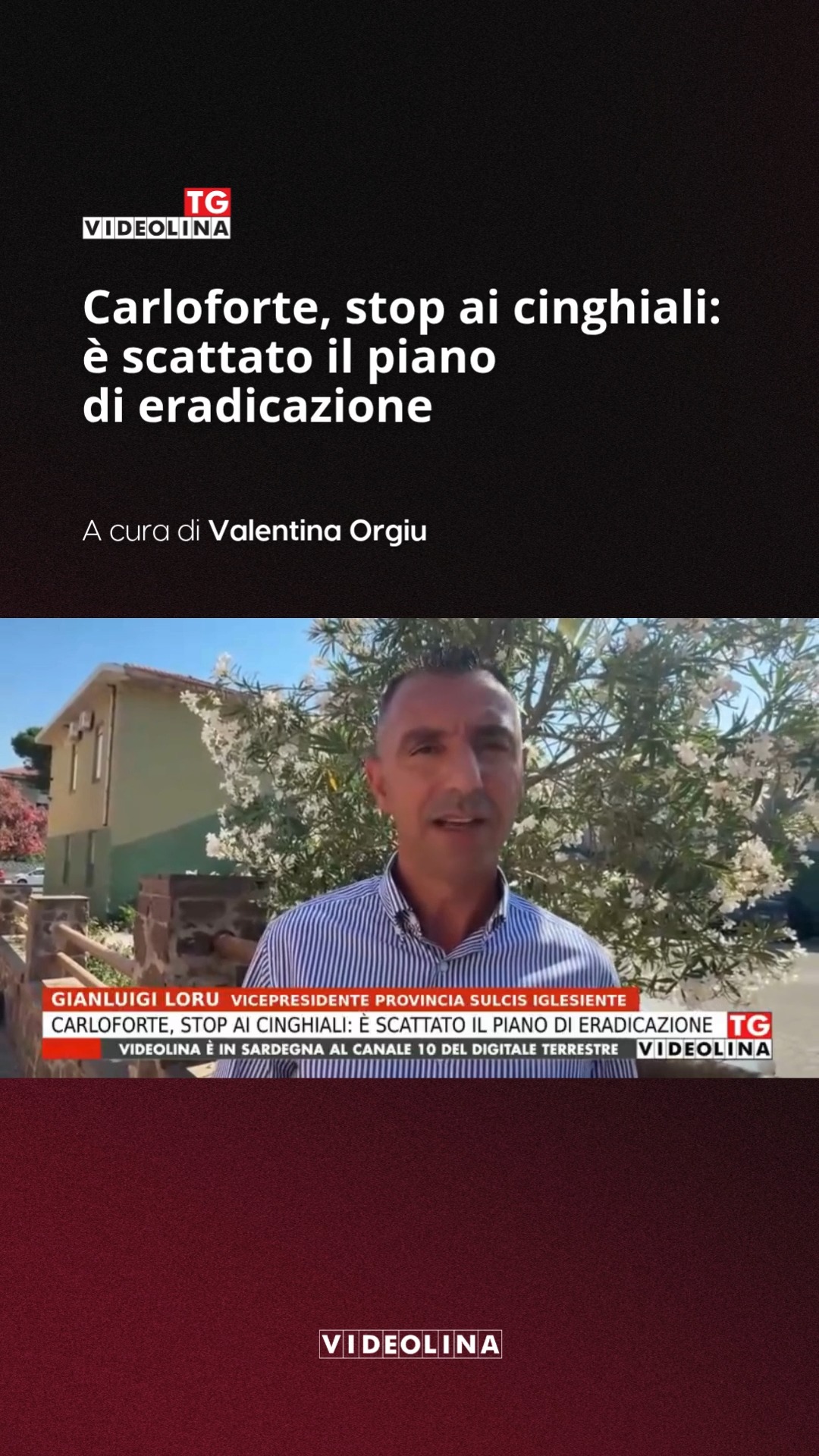 Approvato dalla Regione il Piano di eradicazione del cinghiale che sarà attuato dalla Provincia del Sulcis Iglesiente. U...