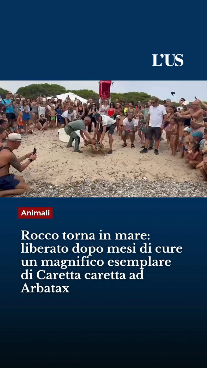 È tornato finalmente nel suo mare Rocco, un magnifico esemplare maschio di tartaruga marina Caretta caretta. È stato lib...