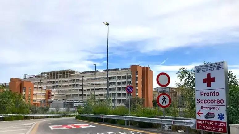 Una bimba di 6 anni in Rianimazione dopo essere stata azzannata da un cane randagio...