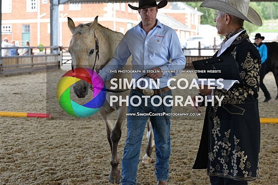 ApHC UK National Show 2019