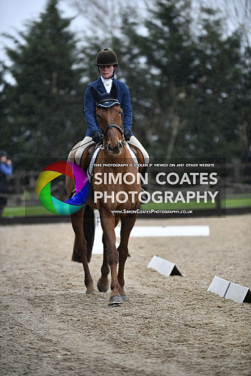 Weston Lawns - Unaffiliated Show Jumping & Dressage 13-2-2022