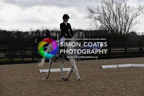  Weston Lawns - Unaffiliated Show Jumping & Dressage 13-3-2022