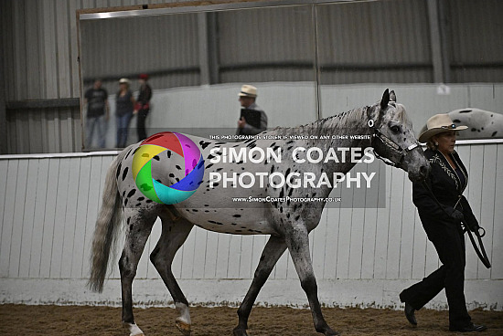 ApHC National Show 2023