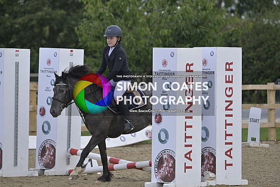 Weston Lawns 3rd August 2025 - Unaffiliated Jumping