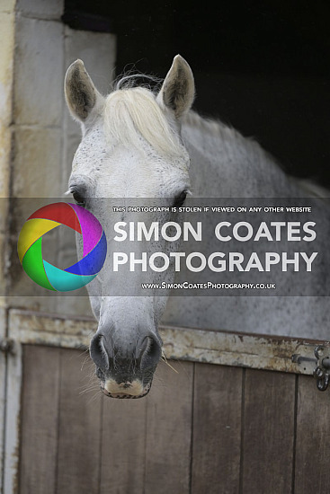 Lychgate Pony Club Camp 2025