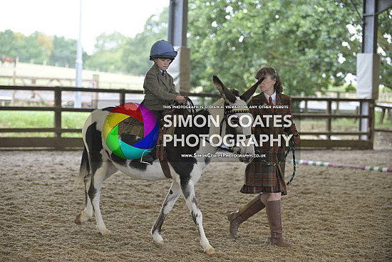 Donkey Breed Show 2025