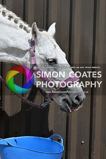 Lytchgate Pony Club Camp