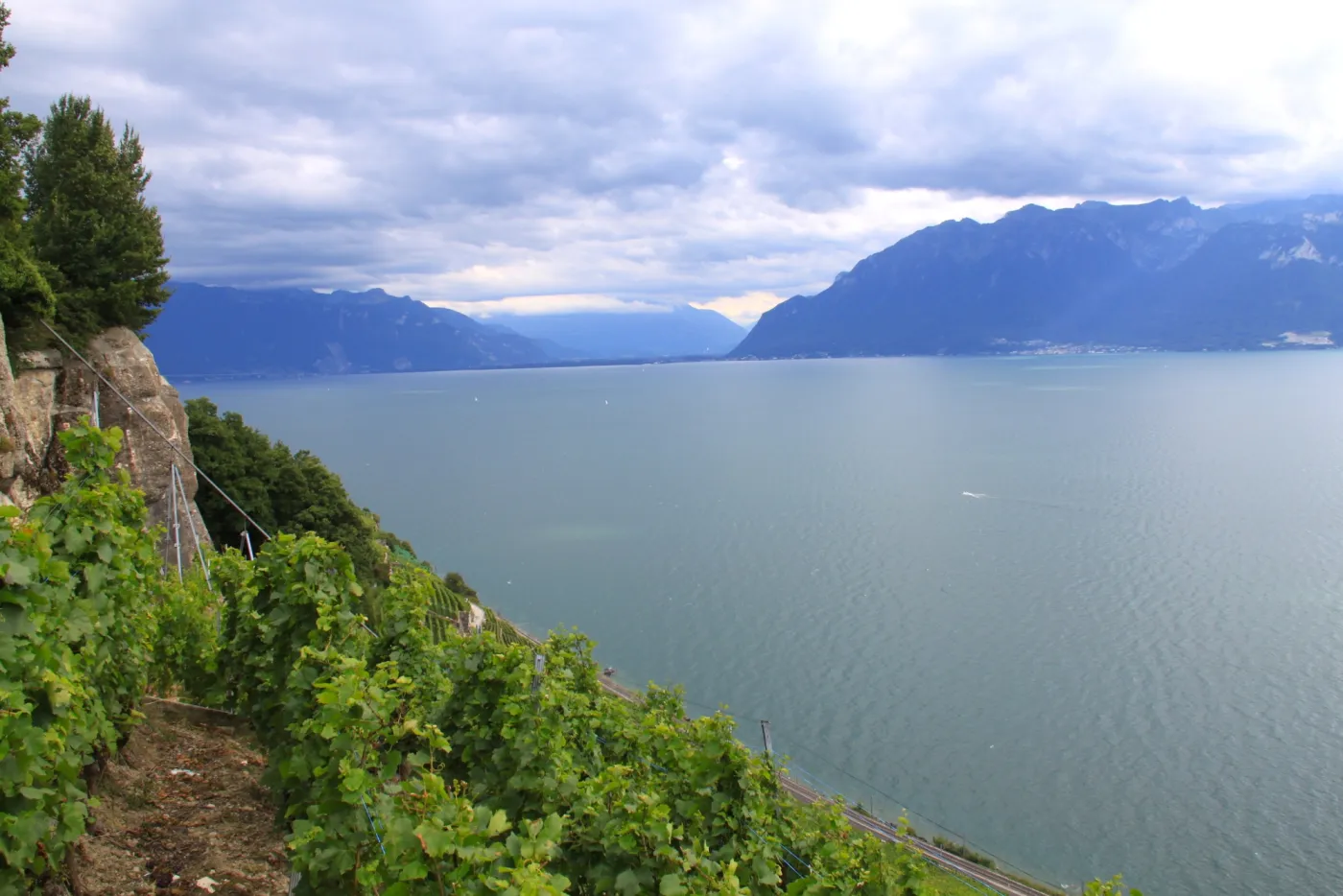 Comment la géologie révèle les vins vaudois