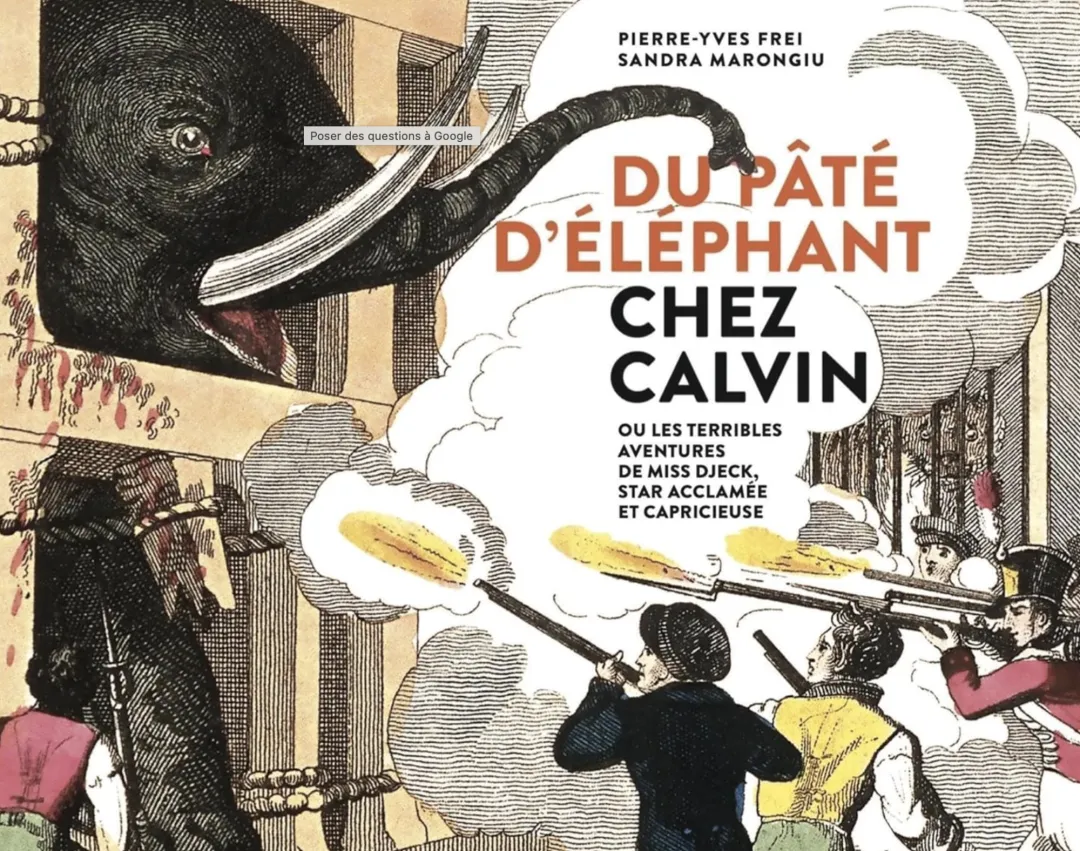 Ce que révèlent les tragédies