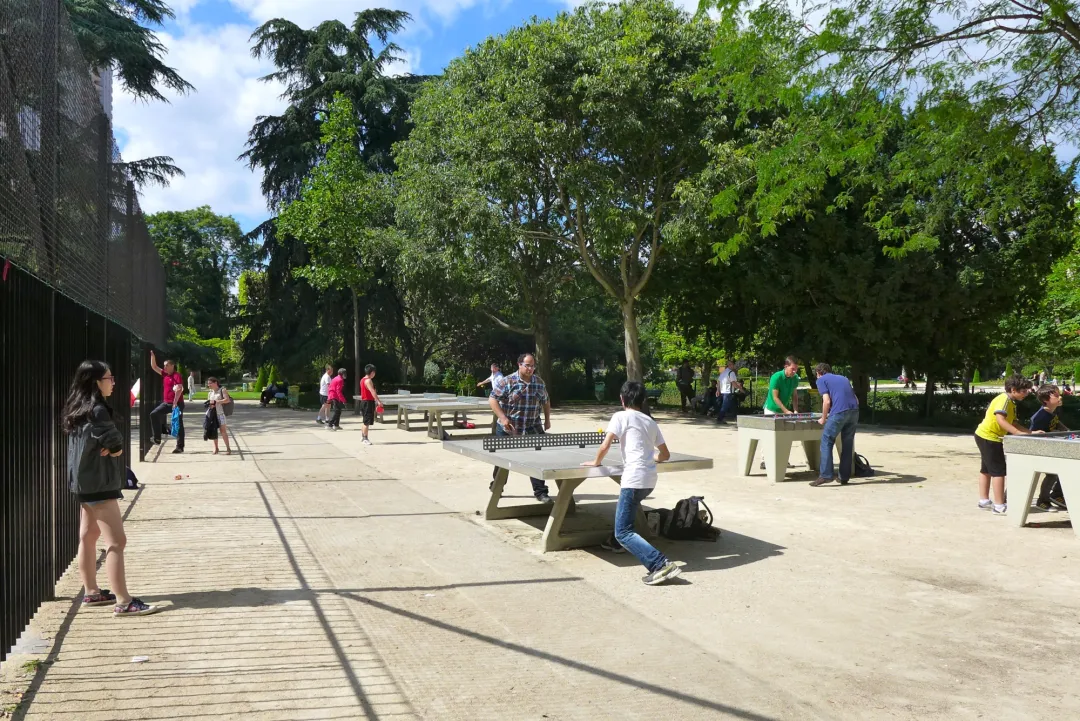 ping pong
