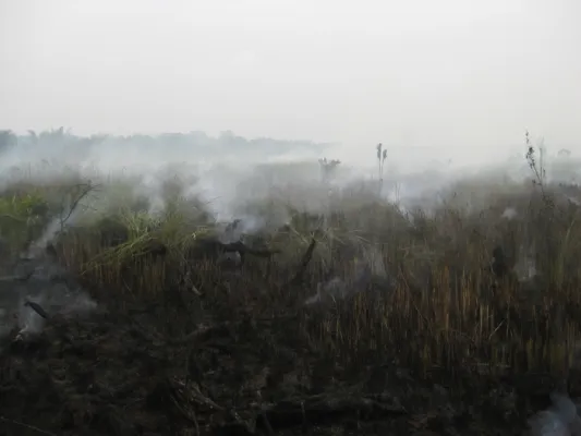 pollution asie ulyces