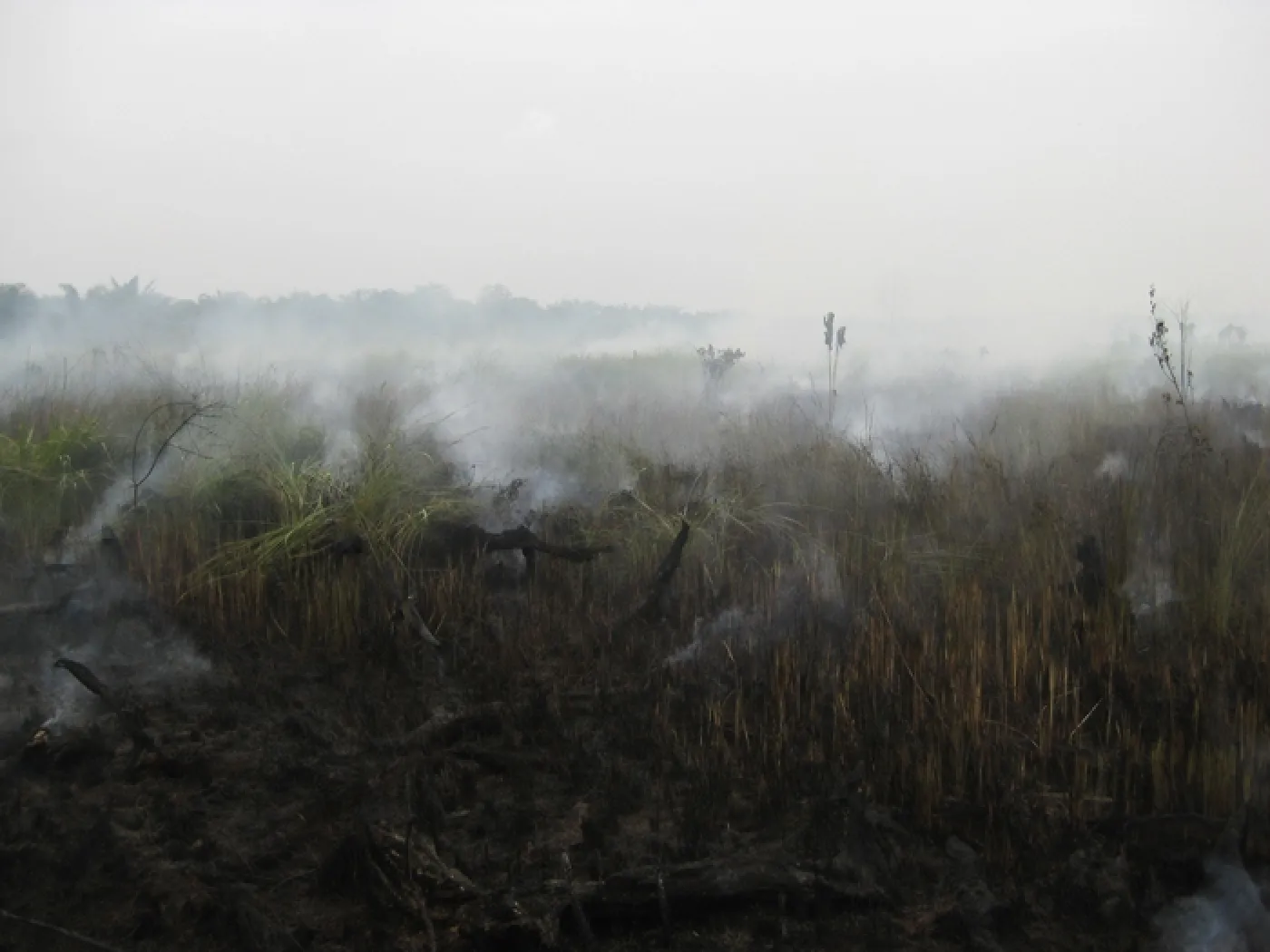 Pollution: quand l'air d'Asie tue (2/4)