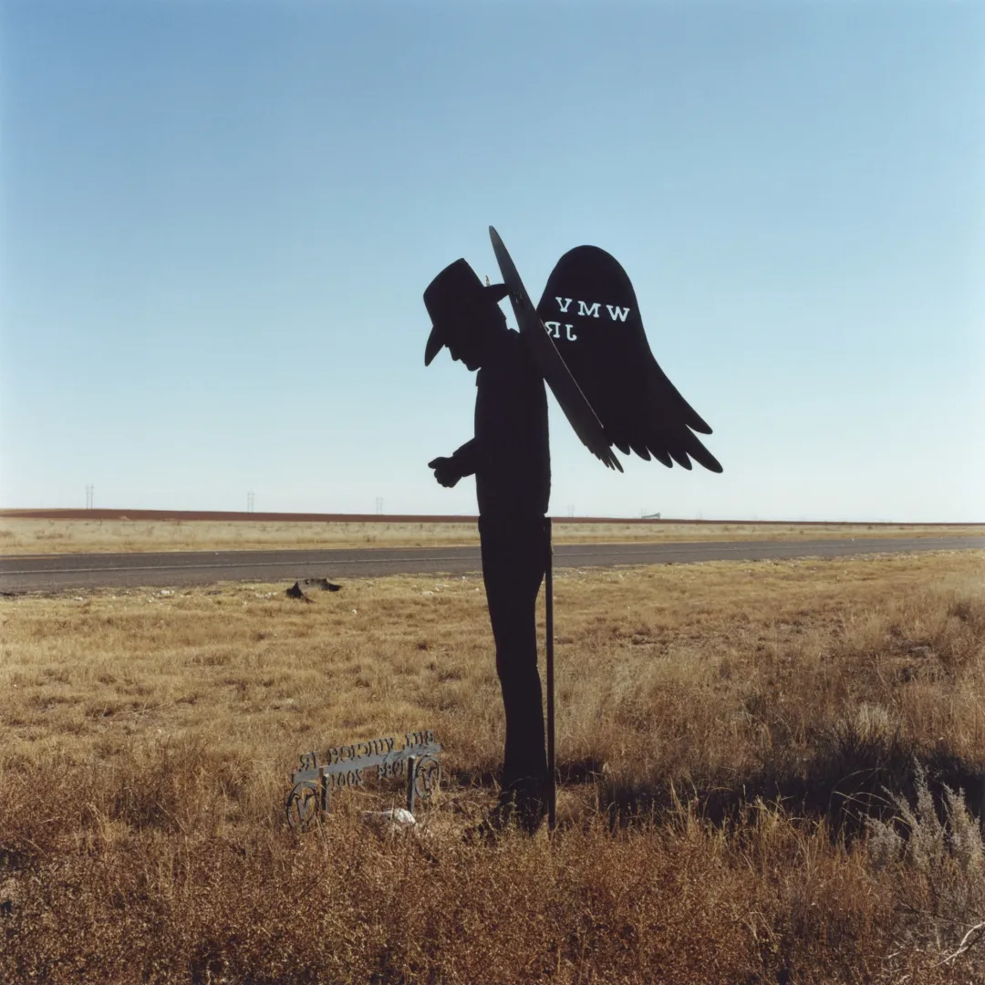 amerique ronan guillou