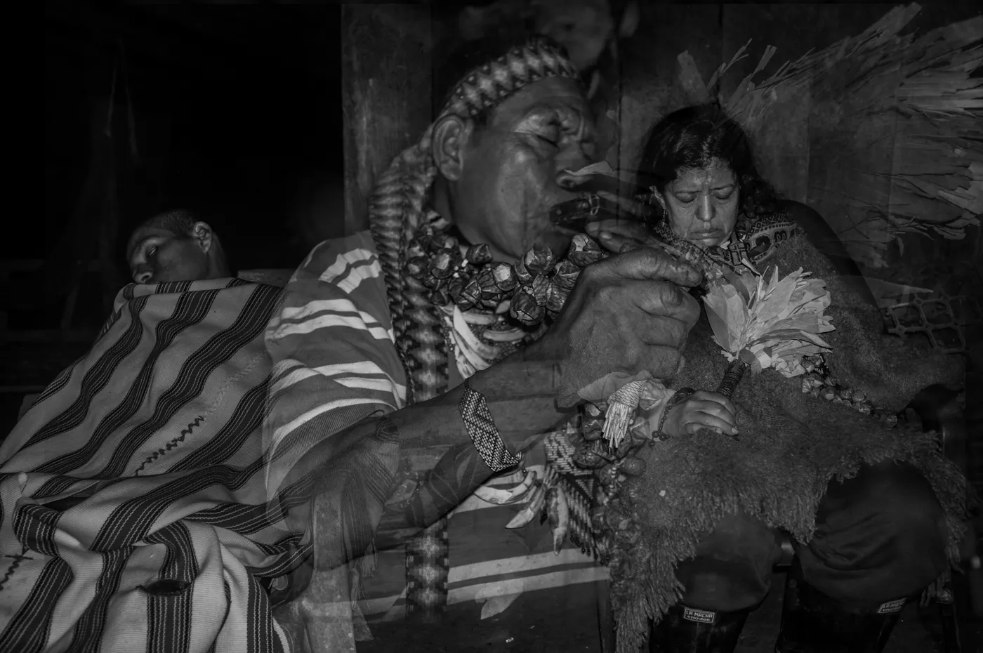 La prophétie du yagé