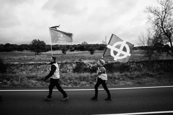 Cousin fasciste