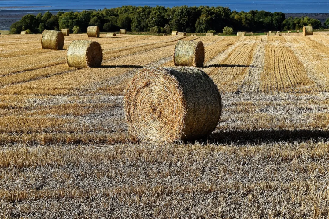 France gronde