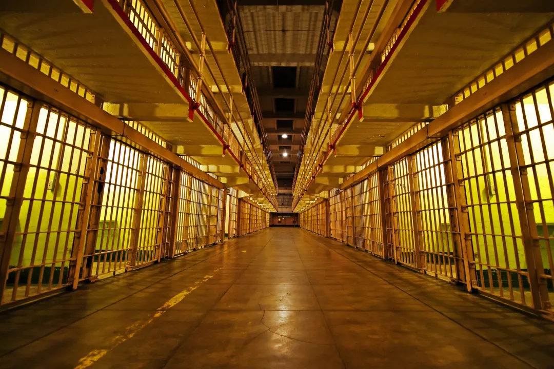 Alcatraz Ulyces