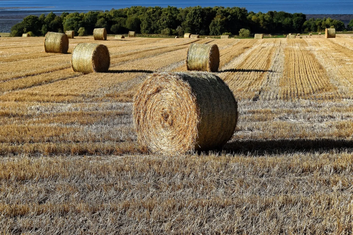 La France qui gronde (1/4): le blues des paysans