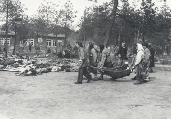 Auschwitz Fayon
