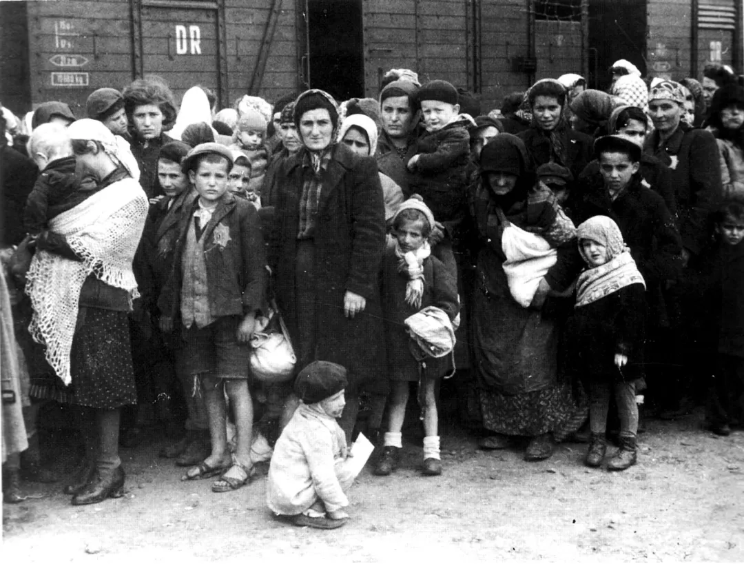 Auschwitz Fayon