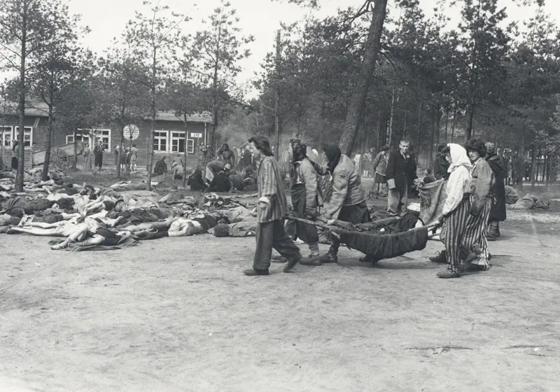 Auschwitz Fayon