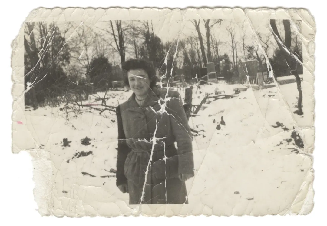 Auschwitz fayon hambourg 1