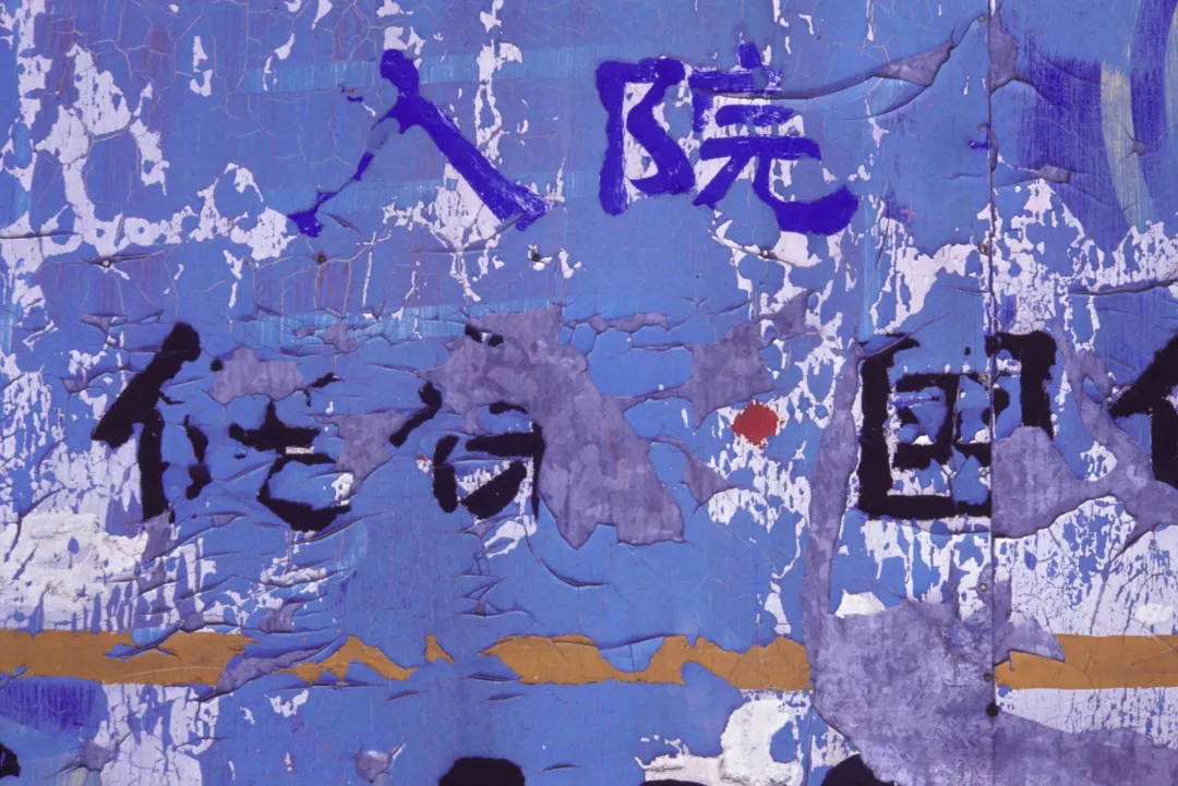 Bouvier Japon