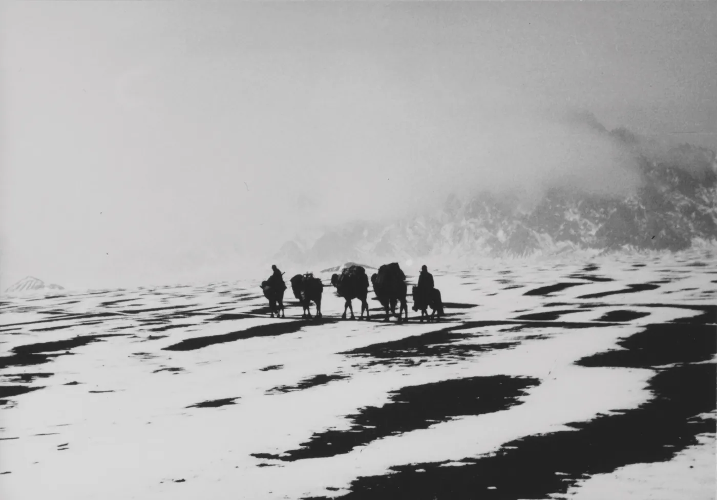 La vie immédiate