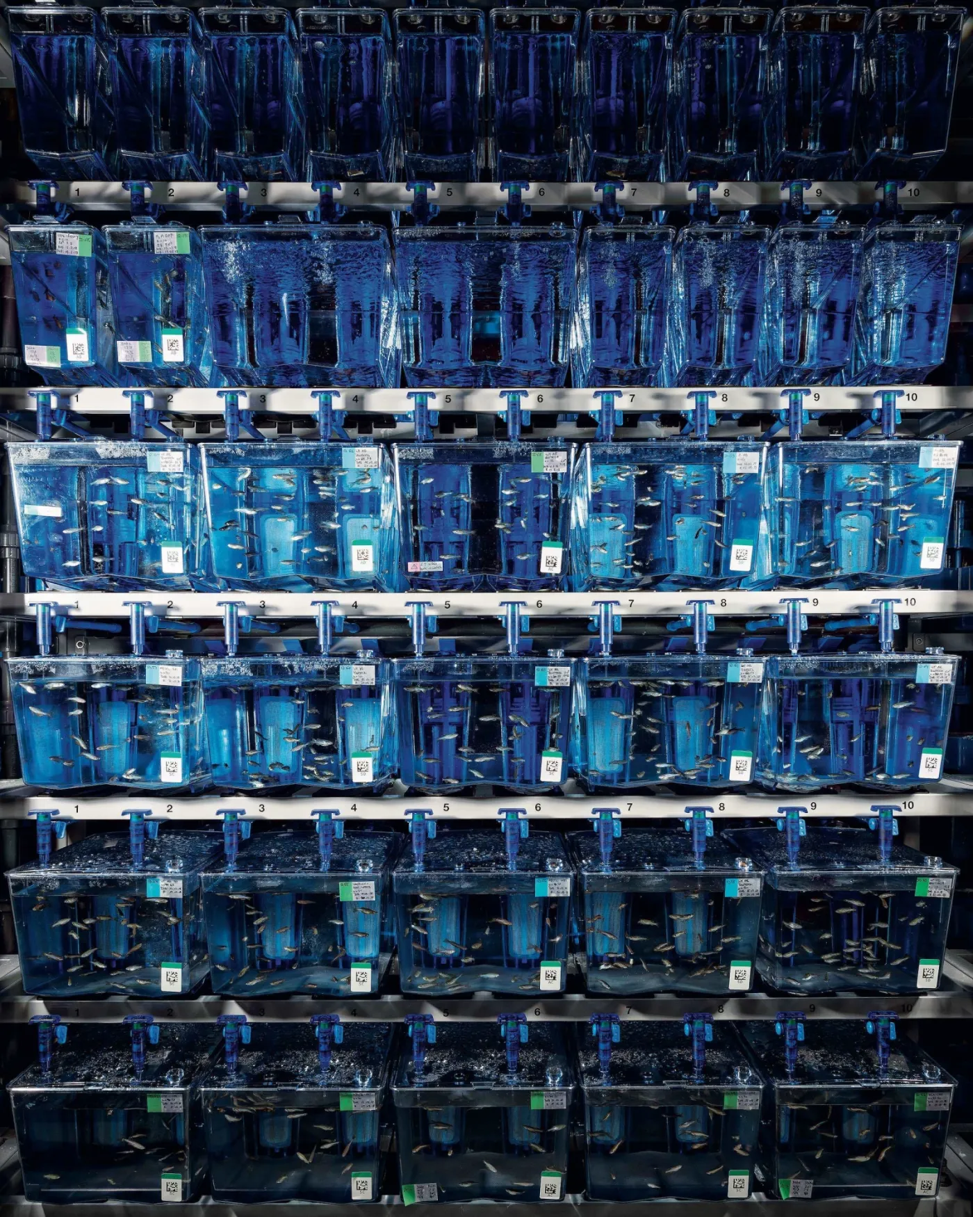 La science en images