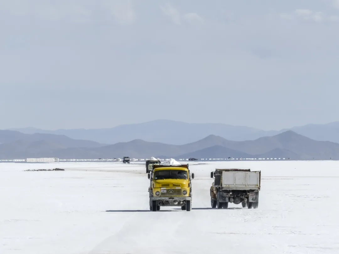 Argentine Lithium