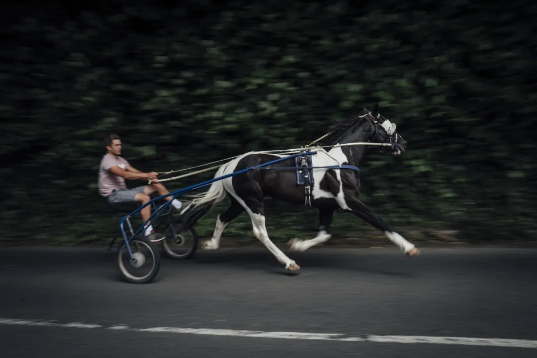 Irlande Travellers