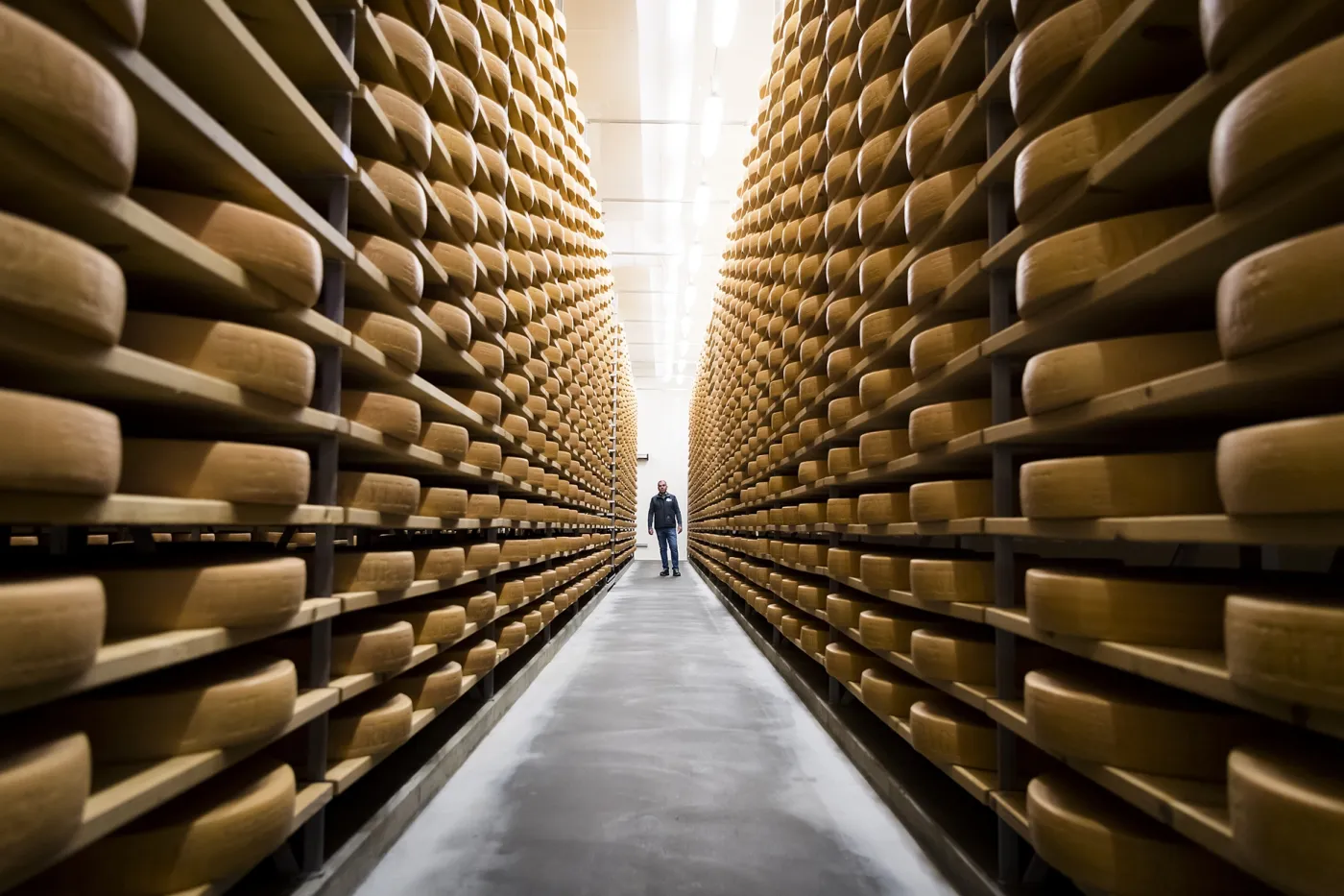 Trafics en tous genres (14/21)