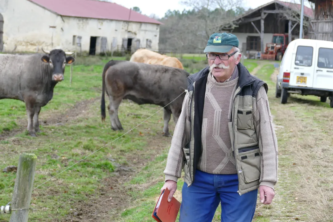 Maquignon France