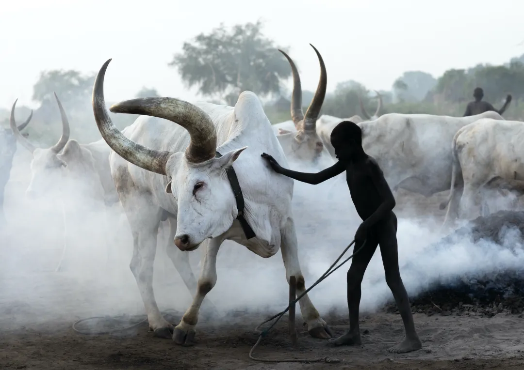 Soudan Mandari