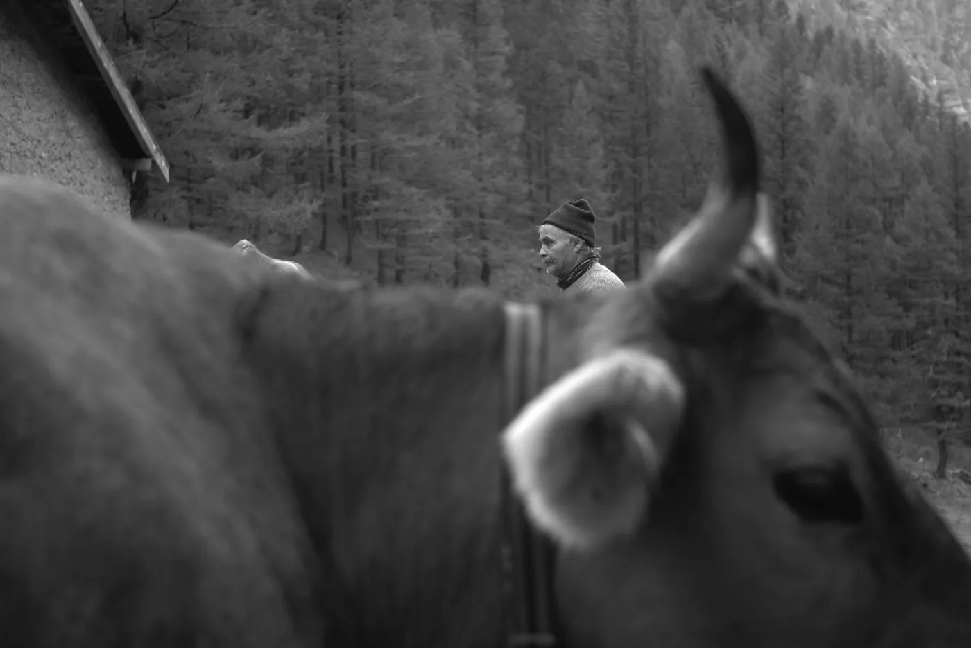 Le dernier homme de la dernière vallée de Suisse