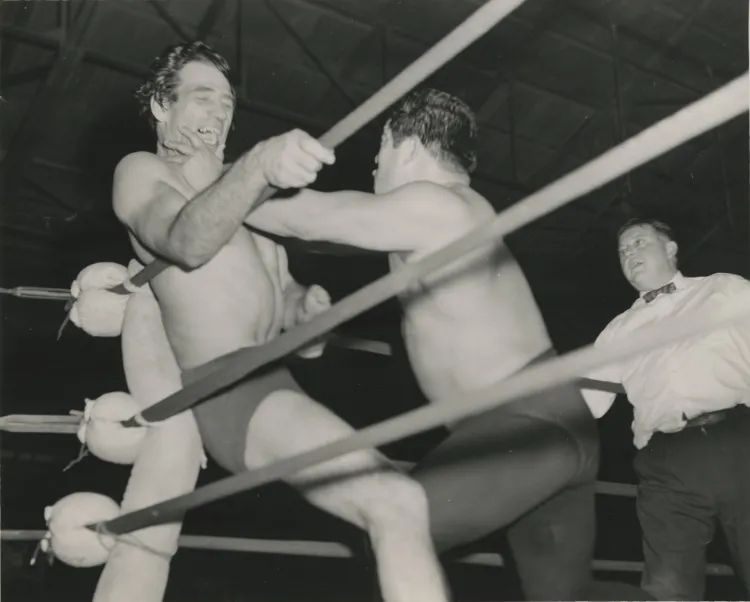 Puroresu