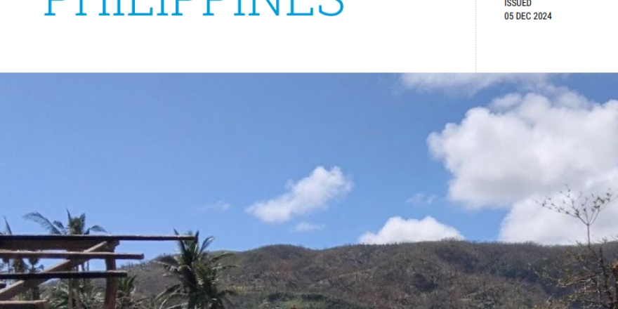 Revised Humanitarian Needs and Priorities (Nov 2024 - April 2025)