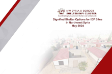 Technical Standards for Dignified Shelter Options v3