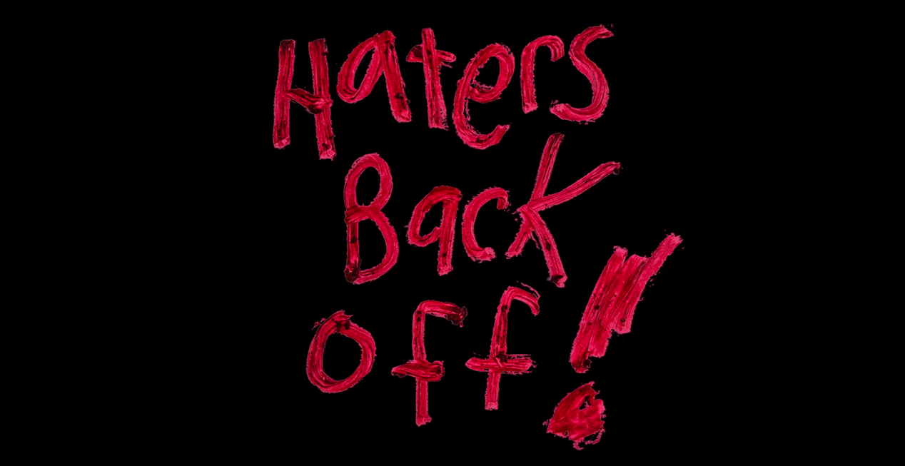 How To Handle The Haters The Shona Project